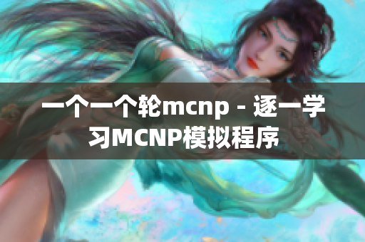 一个一个轮mcnp - 逐一学习MCNP模拟程序