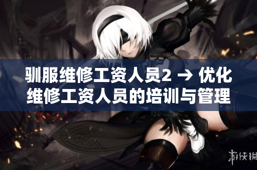 驯服维修工资人员2 → 优化维修工资人员的培训与管理制度