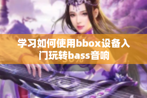 学习如何使用bbox设备入门玩转bass音响