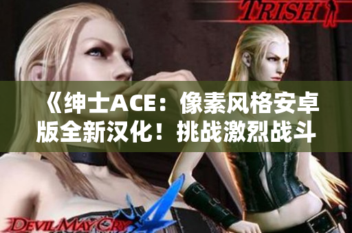 《绅士ACE：像素风格安卓版全新汉化！挑战激烈战斗》