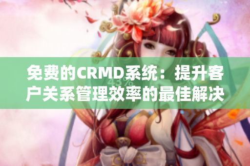 免费的CRMD系统：提升客户关系管理效率的最佳解决方案