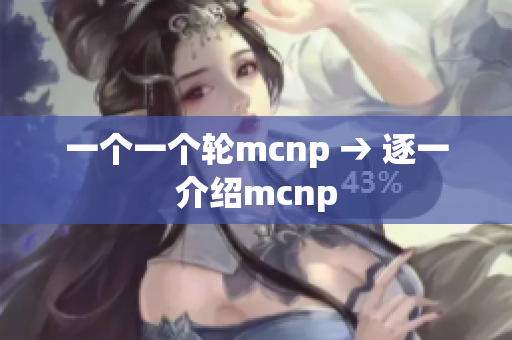 一个一个轮mcnp → 逐一介绍mcnp