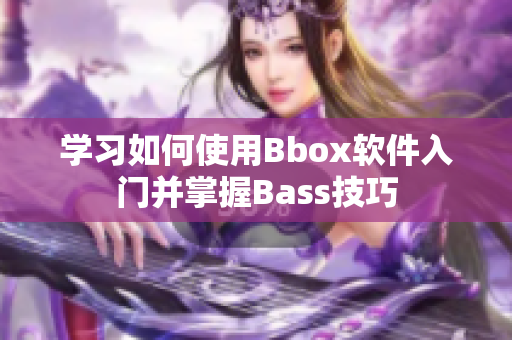 学习如何使用Bbox软件入门并掌握Bass技巧