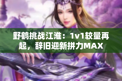 野鹤挑战江淮：1v1较量再起，辞旧迎新拼力MAX