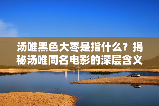 汤唯黑色大枣是指什么？揭秘汤唯同名电影的深层含义