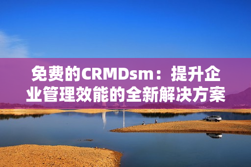 免费的CRMDsm：提升企业管理效能的全新解决方案