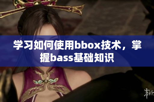 学习如何使用bbox技术，掌握bass基础知识