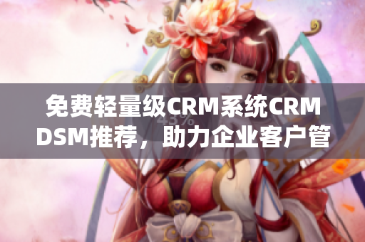 免费轻量级CRM系统CRMDSM推荐，助力企业客户管理优化。